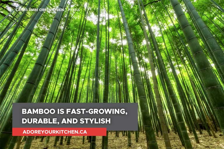 Bamboo-is-fast-growing-durable-and-stylish